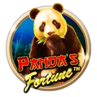 pp image